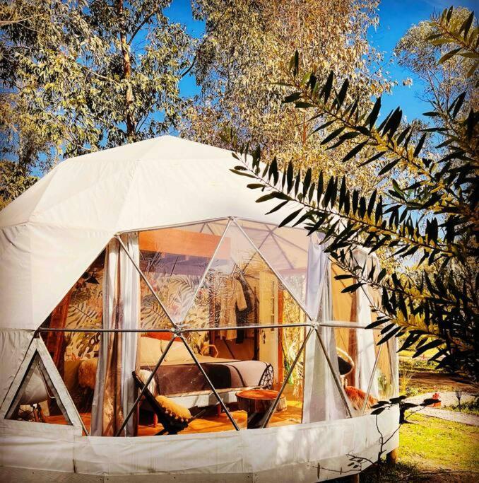 Magia Ecolodges, Glamping Punta Colorada Eksteriør bilde