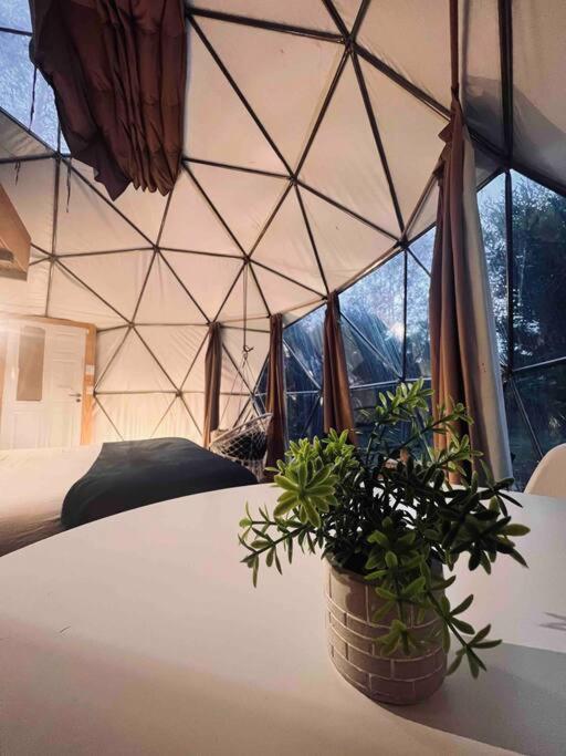 Magia Ecolodges, Glamping Punta Colorada Eksteriør bilde